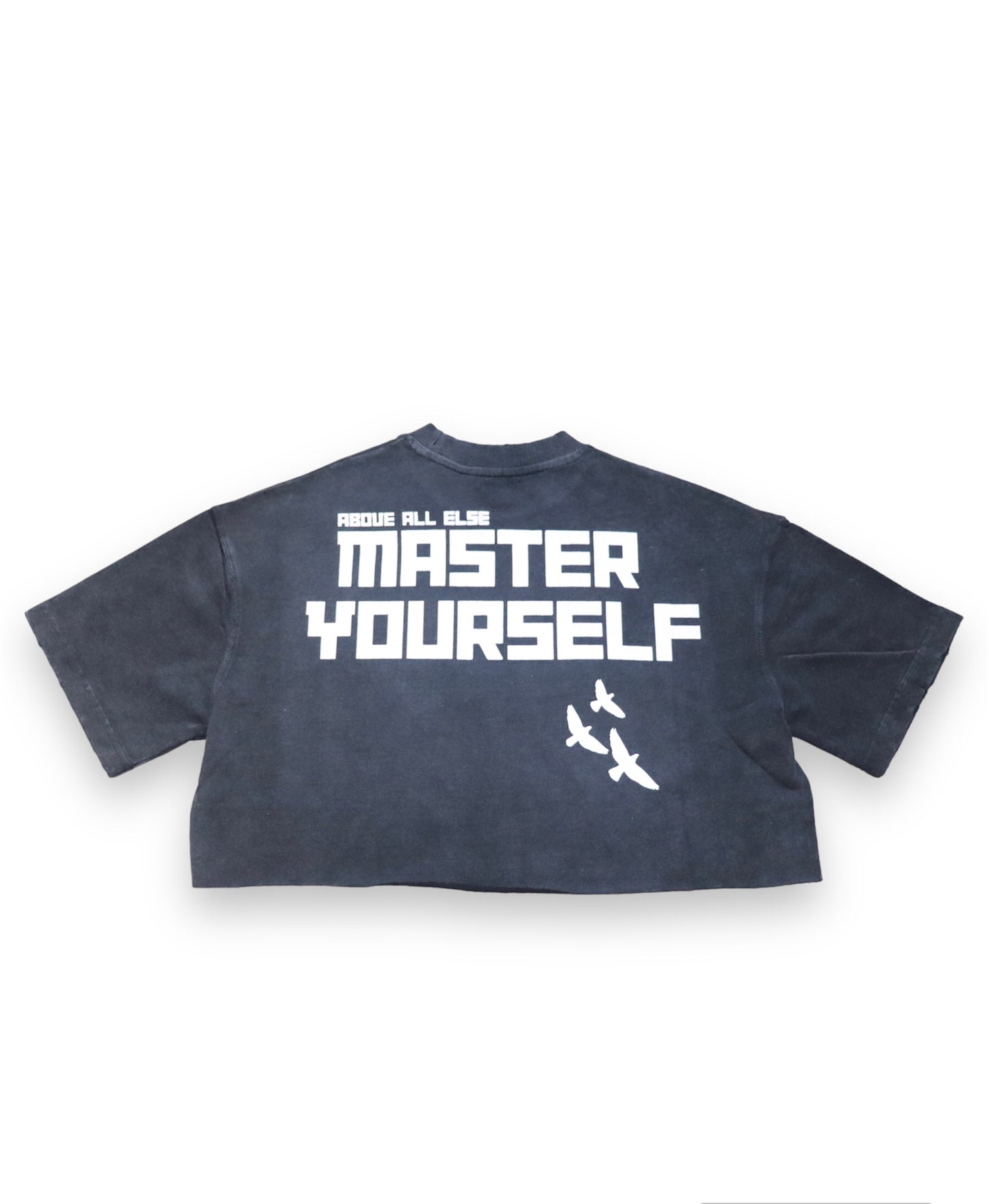 Women’s shadow oversized “Master Yourself” tee (cropped)